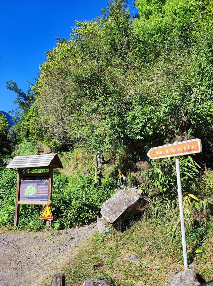 Nos excursions – Île de La Réunion