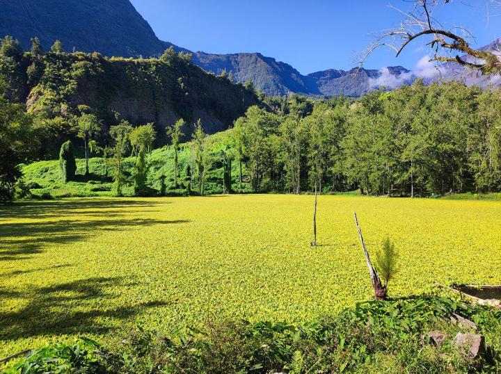 Nos excursions – Île de La Réunion