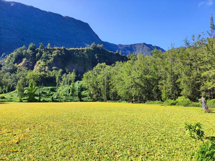 Nos excursions – Île de La Réunion